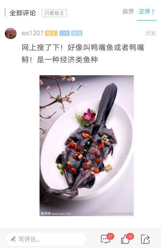 通過網絡查找，<a ><a href=