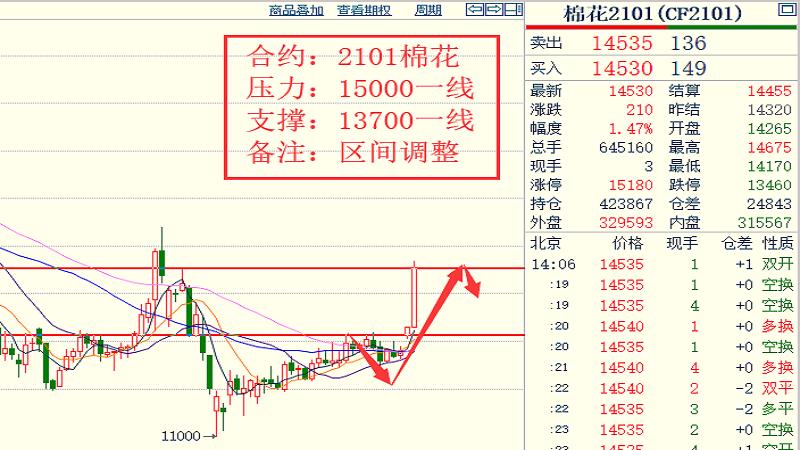 19各品種大行情走勢揣摩