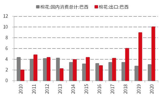 長夜終有盡 棉市待佳音