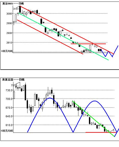 中大農產品視點8.22